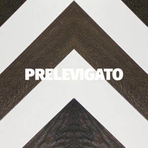 Prelevigato